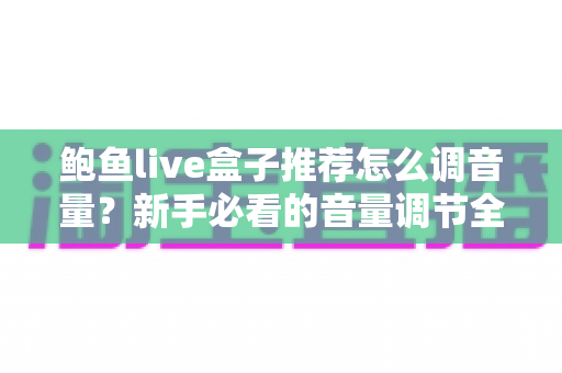 鲍鱼live盒子推荐怎么调音量？新手必看的音量调节全攻略与实用设置技巧