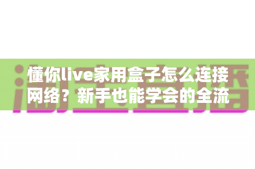 懂你live家用盒子怎么连接网络?新手也能学会的全流程图文指南 懂你live家用盒子怎么连接网络?新手也能学会的全流程图文指南