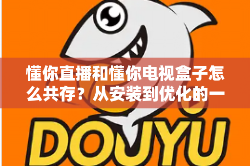 懂你直播和懂你电视盒子怎么共存？从安装到优化的一站式实用指南