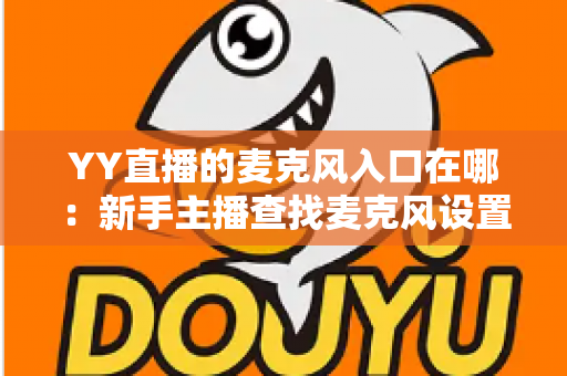 YY直播的麦克风入口在哪：新手主播查找麦克风设置的完整指南