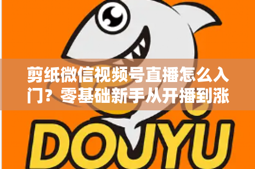 剪纸微信视频号直播怎么入门?零基础新手从开播到涨粉的完整实战指南 剪纸微信视频号直播怎么入门?零基础新手从开播到涨粉的完整实战指南