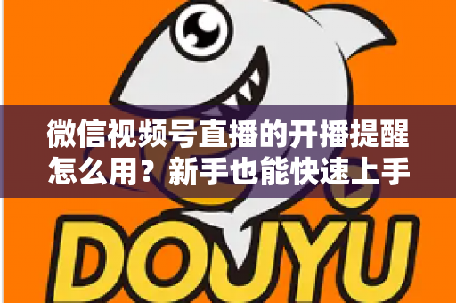 微信视频号直播的开播提醒怎么用?新手也能快速上手的完整操作指南与涨粉秘籍 微信视频号直播的开播提醒怎么用?新手也能快速上手的完整操作指南与涨粉秘籍