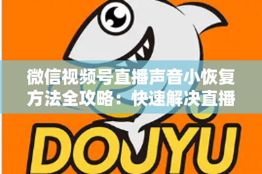 微信视频号直播声音小恢复方法全攻略：快速解决直播音量过低问题的实用指南