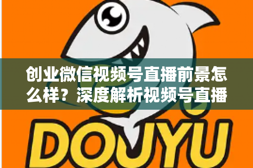 创业微信视频号直播前景怎么样？深度解析视频号直播创业红利、变现路径与实操指南