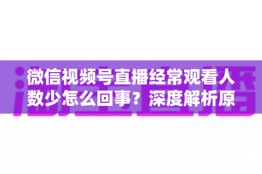 微信视频号直播经常观看人数少怎么回事？深度解析原因与提升观看量的实用指南