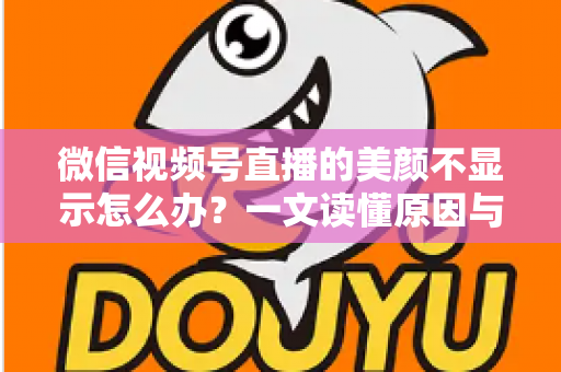 微信视频号直播的美颜不显示怎么办?一文读懂原因与实用解决技巧 微信视频号直播的美颜不显示怎么办?一文读懂原因与实用解决技巧