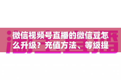 微信视频号直播的微信豆怎么升级？充值方法、等级提升与使用技巧全解析