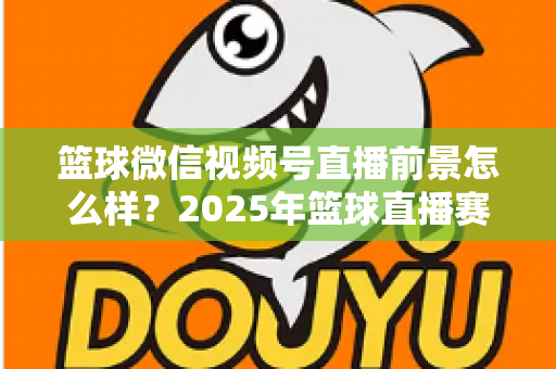 篮球微信视频号直播前景怎么样？2025年篮球直播赛道机遇、变现路径与实战策略深度解析