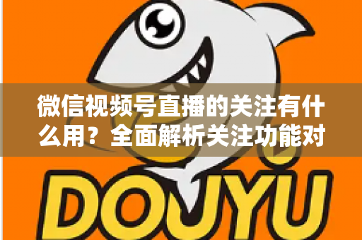 微信视频号直播的关注有什么用?全面解析关注功能对观众与主播的双向价值 微信视频号直播的关注有什么用?全面解析关注功能对观众与主播的双向价值