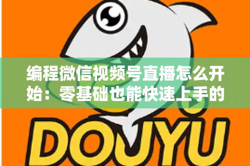 编程微信视频号直播怎么开始：零基础也能快速上手的开播全攻略