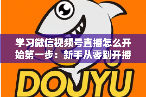 学习微信视频号直播怎么开始第一步：新手从零到开播的完整实战指南