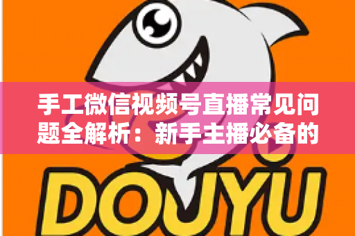 手工微信视频号直播常见问题全解析：新手主播必备的避坑与涨粉指南