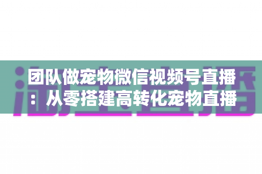 团队做宠物微信视频号直播:从零搭建高转化宠物直播间的完整实战指南 团队做宠物微信视频号直播:从零搭建高转化宠物直播间的完整实战指南