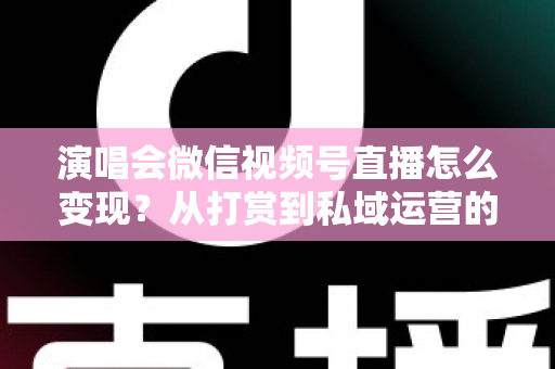 演唱会微信视频号直播怎么变现？从打赏到私域运营的全链路赚钱指南