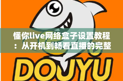 懂你live网络盒子设置教程：从开机到畅看直播的完整指南，新手也能十分钟上手